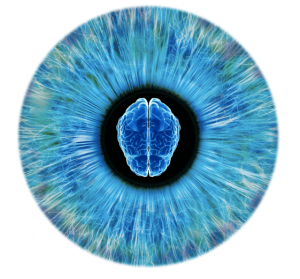 Pupillometry - Measuring how quickly a person’s pupils react to light can tell us about how active their sympathetic nervous system is.