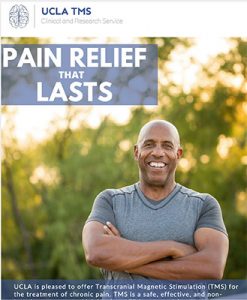 TMS Freedom from Pain PDF